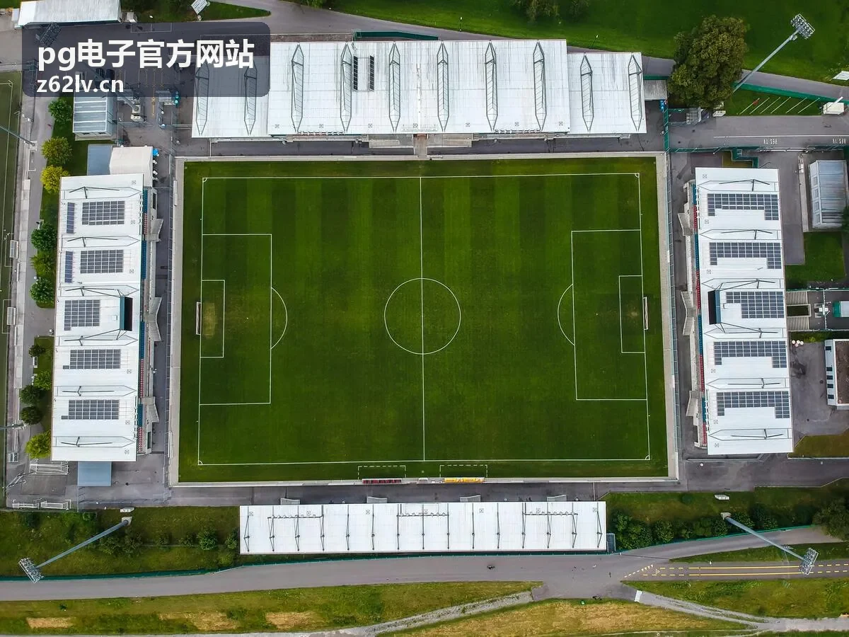 pg电子官方网站奖励体系